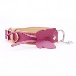 buttertfly pink collar jpg