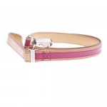 buttertfly pink  leash jpg
